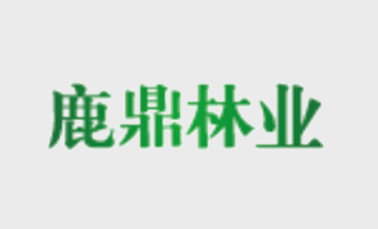 广西bevictor伟德林业集团发起人首次筹备会议在我场召开