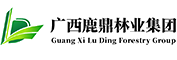 20210205111059211