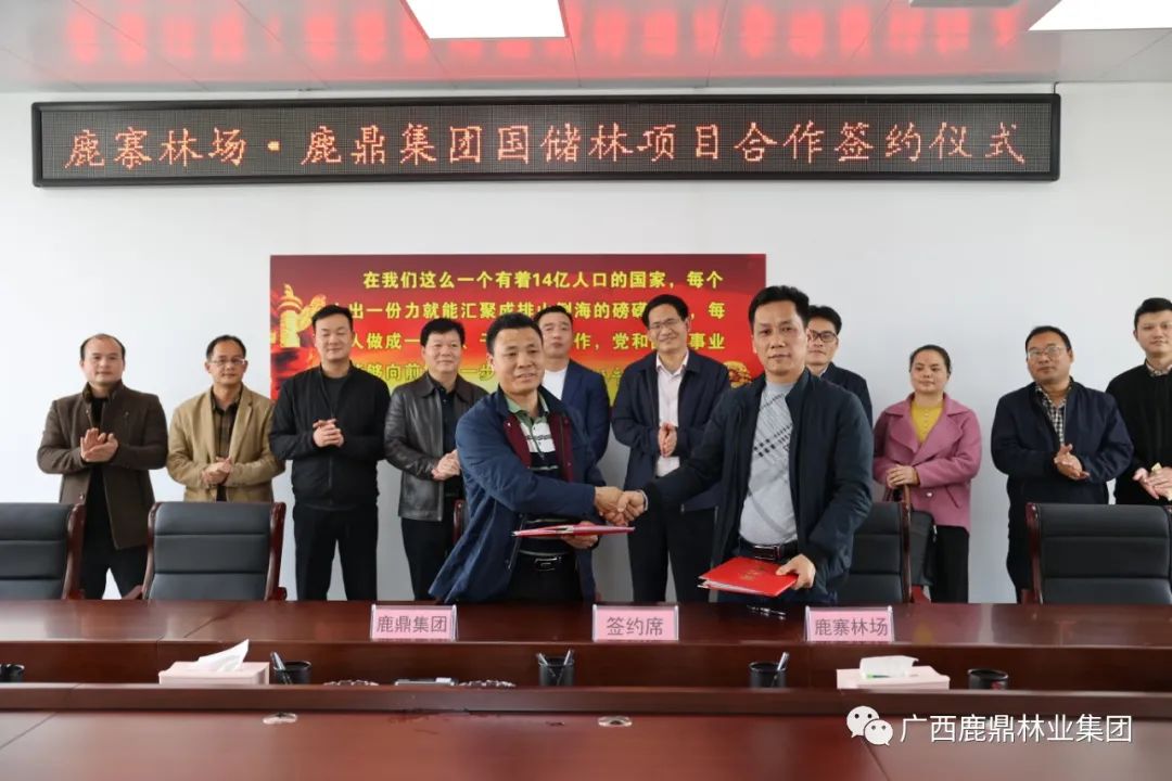 bevictor伟德集团与鹿寨县林场举行国储林项目合作签约仪式2.jpg