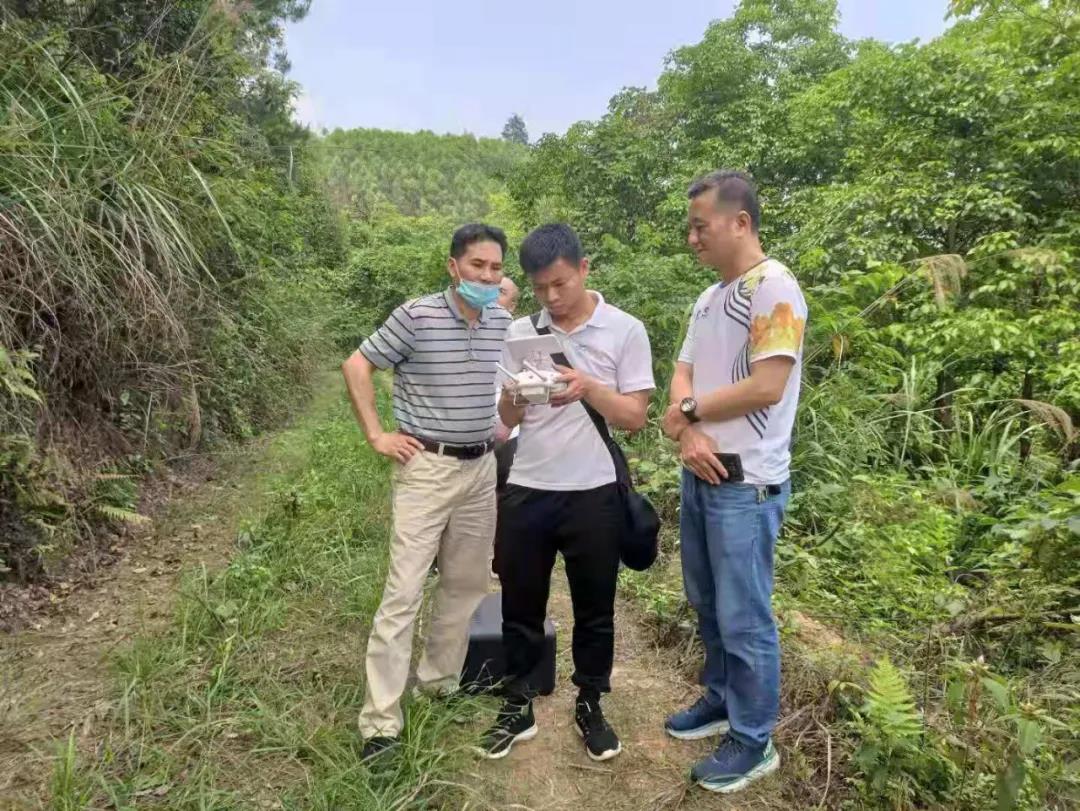 北京林业大学专家团队到鹿寨县指导国储林建设现场推进会工作2.jpg 北京林业大学专家团队到鹿寨县指导国储林建设现场推进会工作2.jpg