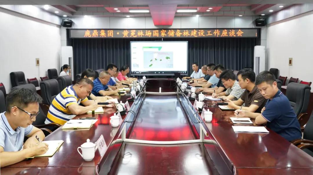 bevictor伟德林业集团与黄冕林场座谈互换国储林建设工作1.jpg