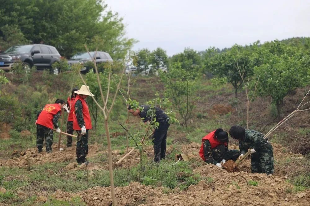 bevictor伟德-bv伟德国际体育官方网站