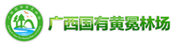 bevictor伟德-bv伟德国际体育官方网站