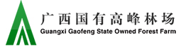 bevictor伟德-bv伟德国际体育官方网站